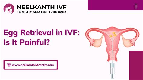 Egg Retrieval In IVF: Is It Painful? - Neelkanth