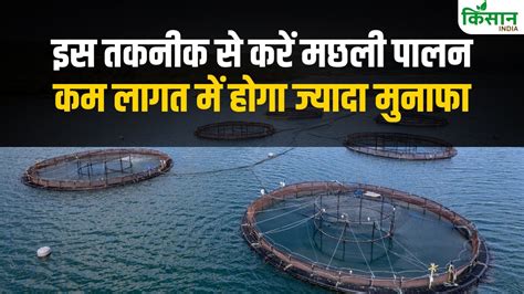 Biofloc fish farming subsidy is being provided on this technique of ...