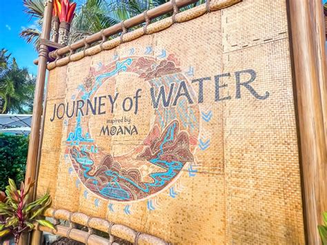 Best Way To Carry Water At Disney at Gabrielle Sutherland blog