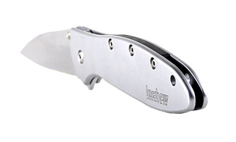 Kershaw Ken Onion Leek Pocket Knife (Classic Plain Edge)