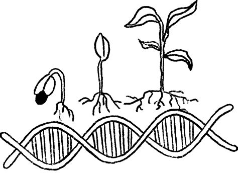 Biotechnology Drawing Ideas 的图像结果