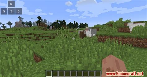 Keystrokes 1.18 的图像结果