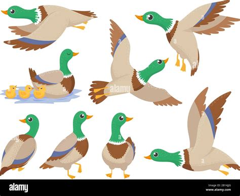 Flying Duck Clip Art