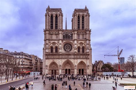Nuit Blanche 2025: a free exhibition under the forecourt of Notre-Dame ...