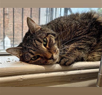 Let me introduce you to a pet that can change your life forever: August ...