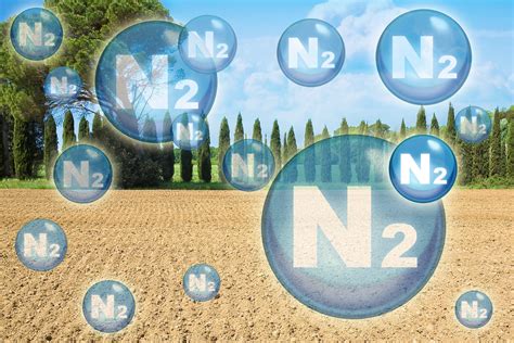 4 Interesting Facts about Nitrogen - WestAir