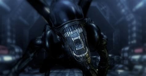 Alien Predader 的图像结果