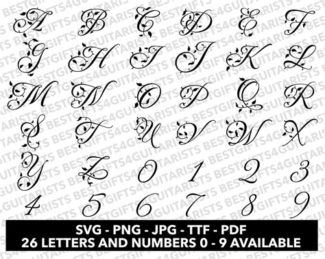 123 Vine Font SVG, Vine Font for Cricut, Vine Font SVG, PNG, Jpg, Ttf, Pdf Vine Font for Canva ...