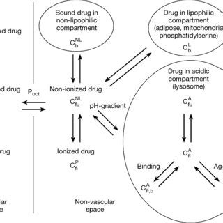 Tissue Distribution 的图像结果