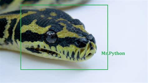 Face Detection Using Python 的图像结果