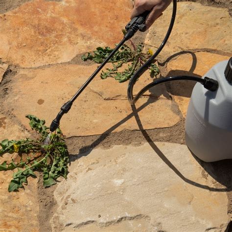 Spectracide Extended Control 32-fl oz Concentrated Weed and Grass ...