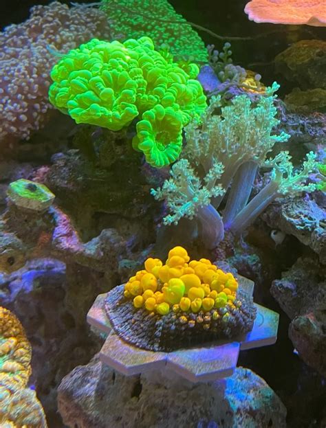 Accountancy Project Class 12th On Ratios 的图像结果