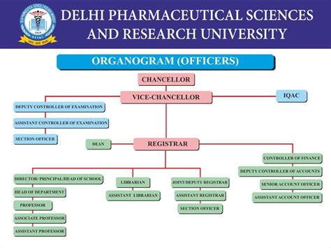 Delhi Pharmaceutical Sciences and Research University
