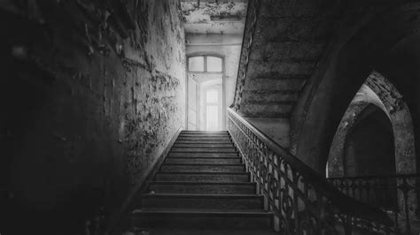 Gothic vs. Horror Literature: A Study of Genres