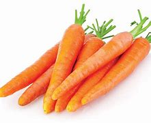 carrot 的图像结果