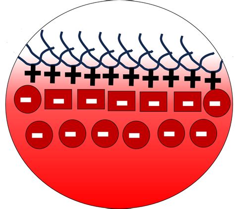 nahushpharma.in - Patna, Bihar