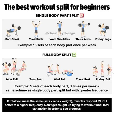 Image result for Split Exercise Routine