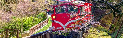 Alishan National Forest Recreation Area Guide