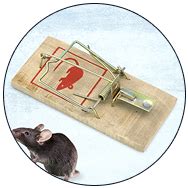 Shop Laptop Stands Online at the Best Prices