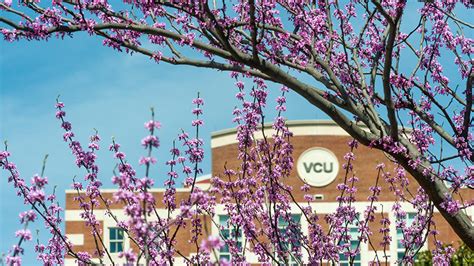 2023 Spring - VCU Magazine: For Alumni and Friends - VCU Office of ...