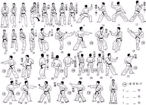 Basic Kung Fu Techniques 的图像结果