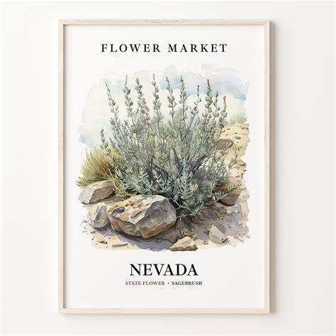 Nevada State Flower Art Print, Sagebrush Botanical Wall Art, 1960's ...