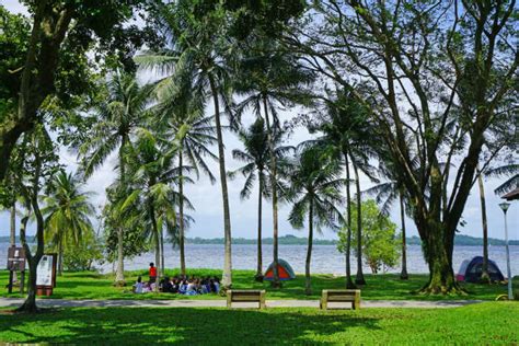 5 Places To Visit Near Lorong Halus To Feed Your Travel Thirst