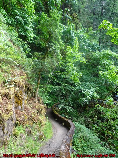 Shepperds Dell Falls - Exploring My Life