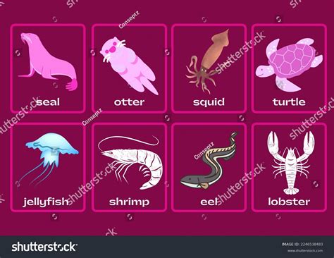 Sea Flashcard 的图像结果