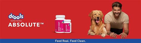 Buy Drools Absolute Calcium Tablet- Dog Supplement, 110 Pieces & Drools ...