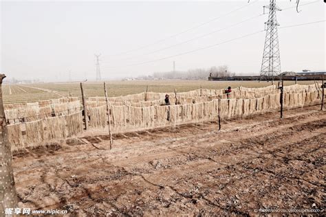 庄稼 的图像结果