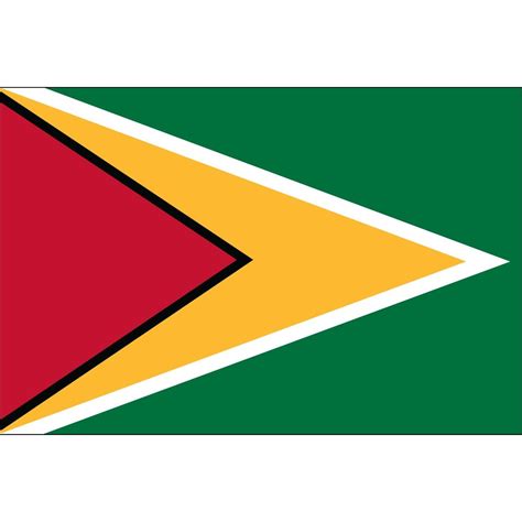 Guyana Flag 3 x 5 ft. Indoor Display Flag