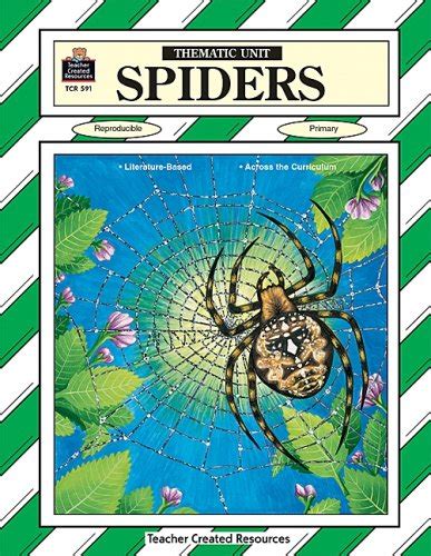Spiders Thematic Unit : Amazon.in: Books