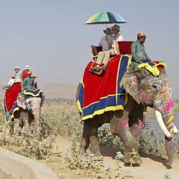 Horse Riding in Jaipur, Royal Polo Club and Farms, Cycle Tours Jaipur