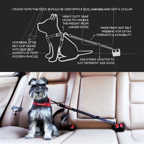 Ezydog Dog Safety Seatbelt | Dog Travel Safety | Podgy Paws