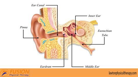 Inner Ear Crystals Therapy