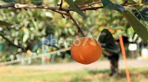 Image result for Moduleization