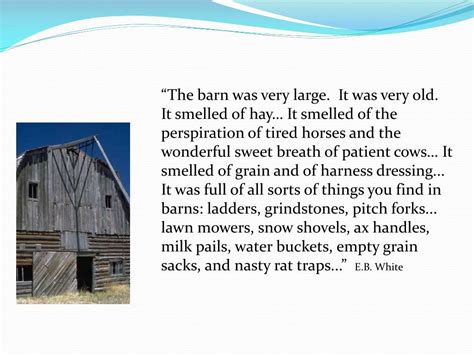 Example Presentation of Visualization 的图像结果