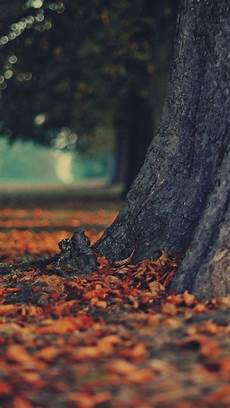 Vertical Backgrounds by Hd Vertical Wallpaper 79 Images Vertical Backgrounds