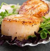 scallops 的图像结果