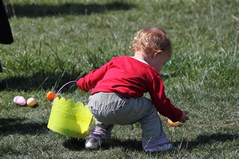 Image result for Spring Show