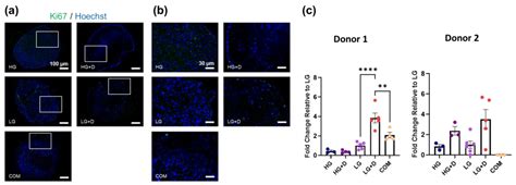 The Characterization of Serum-Free Media on Human Mesenchymal Stem Cell ...