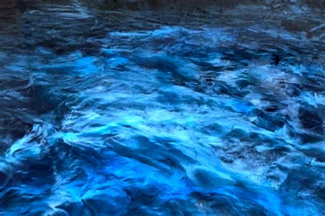 Metallic Epoxy Floor Coating | SwedeBro