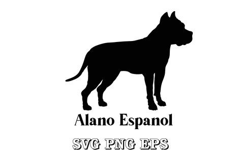 Alano Espanol Dog Silhouette Breeds Graphic by Pony3000 · Creative Fabrica