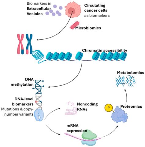 Bridging Discovery and Treatment: Cancer Biomarker