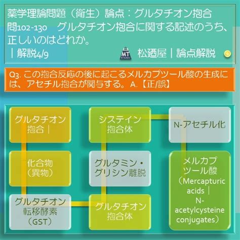 松廼屋｜論点解説 薬剤師国家試験対策ノート問102-130【衛生】論点：代謝 / グルタチオン抱合 | 松廼屋 Mats.theBASE