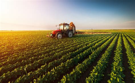 Dar Al Ziraa company - agriculture in Saudi Arabia - Dar Al Ziraa company