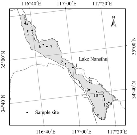 The Relationship between Phytoplankton Evenness and Copepod Abundance ...