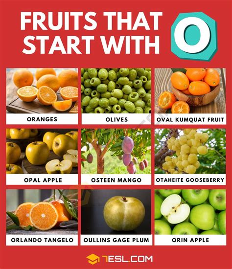 23 tasty fruits that start with o in english – Artofit