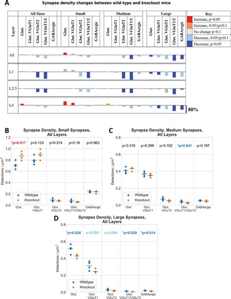 Image result for synapse native external table
